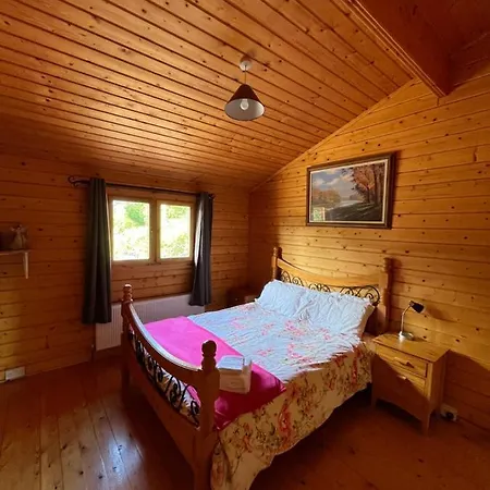 Red Squirrel Chalet Galway