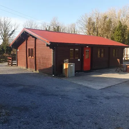 Red Squirrel Голуэй