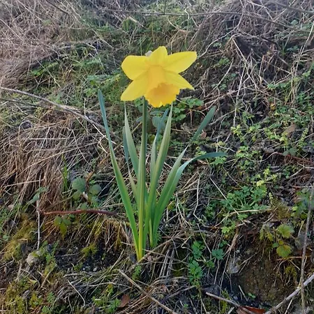 Horská chata Red Squirrel *