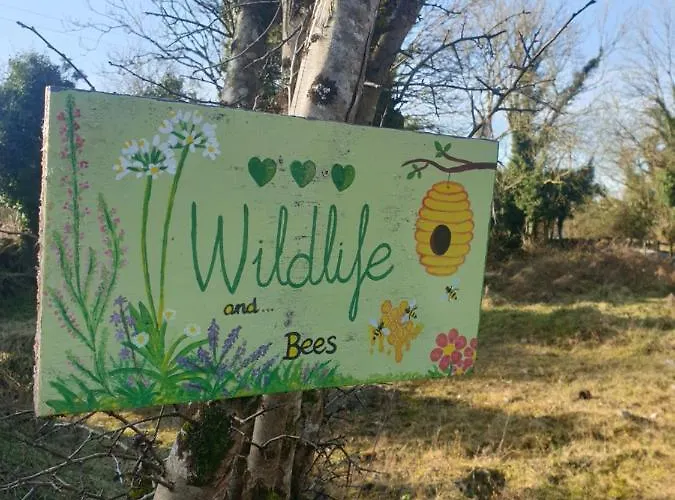 Шале Red Squirrel *