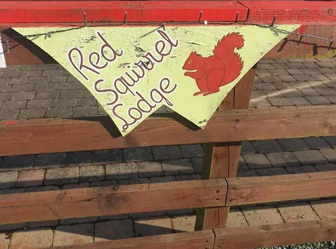 Шале Red Squirrel *