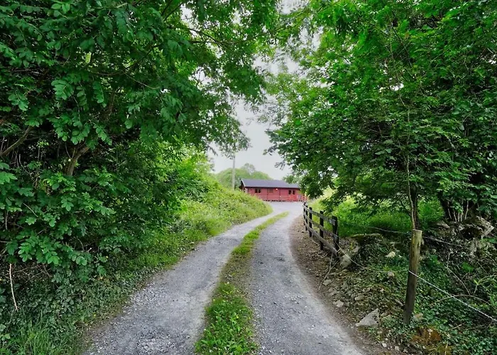 Red Squirrel Голуэй