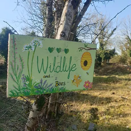 Chalet Red Squirrel *